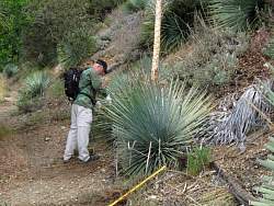 20090606010ValleyForgeCORBATrailworkNationaltrailsDay.jpg